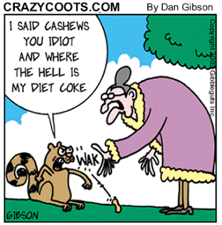 Mean Old Lady Cartoon I Saw This Cartoon Online