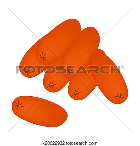 Of Polish Sausage On White Background Fotosearch Search Clipart   Free    