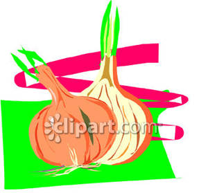 Onion Cut In Half   Royalty Free Clipart Picture