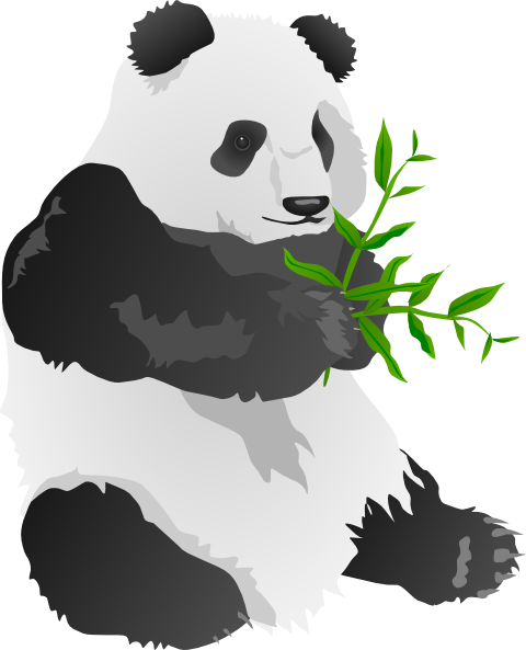Panda Bear Clip Art At Clker Com   Vector Clip Art Online Royalty
