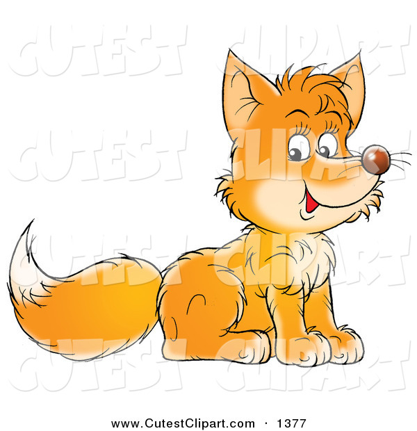Pin Cute Fox Cubs On Pinterest