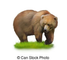 Siberian Brown Bear Illustrations And Clipart  3 Siberian Brown Bear