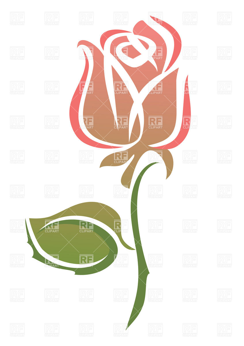 Sketch Of Pink Rose Download Royalty Free Vector Clipart  Eps