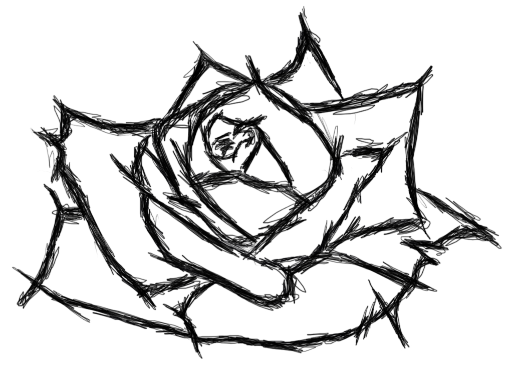 Sketch Rose   Clipart Best