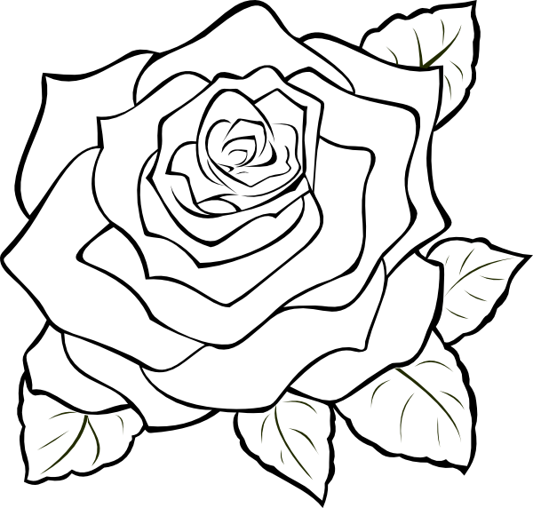Uncoloured Rose Clip Art At Clker Com   Vector Clip Art Online