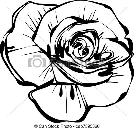 Vector   Black And White Sketch Of Rose   Stock Illustration Royalty