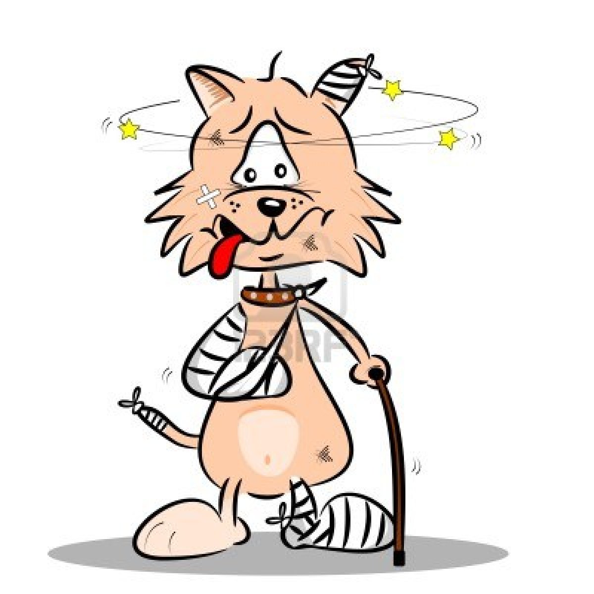 14676838 An Injured Cartoon Cat With Bandages Plaster And Walking