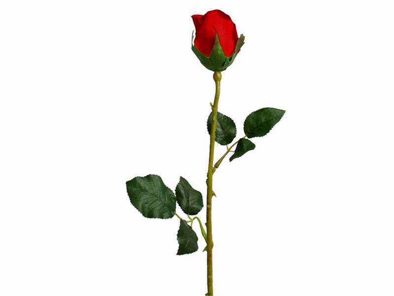 31 Long Stem Roses Pictures   Free Cliparts That You Can Download To