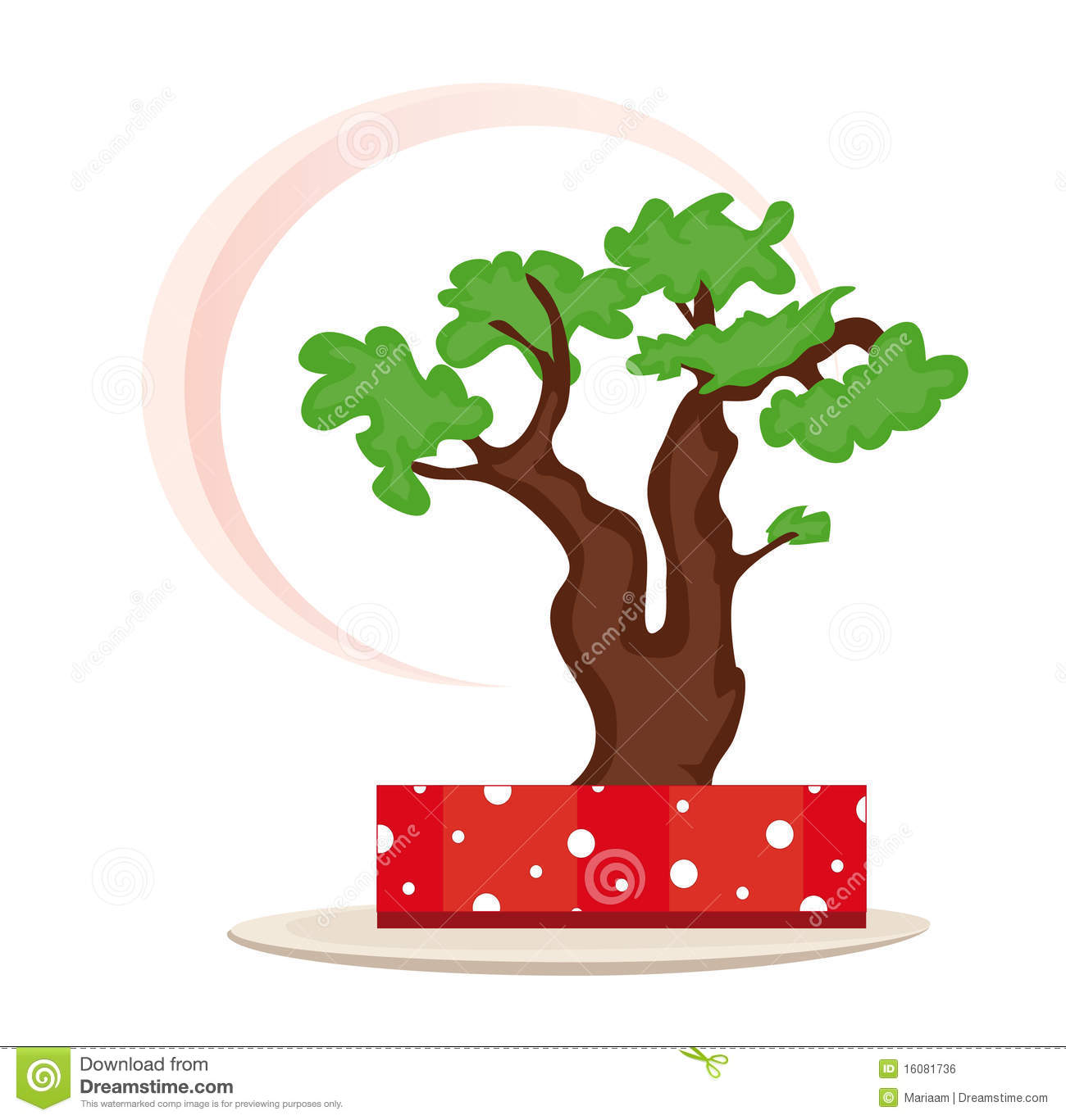 Bonsai Tree Royalty Free Stock Image   Image  16081736