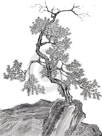 Chinese Ink Brush Drawing Tree Stock Photo   Image  7936360