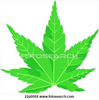 Clip Art Of Marijuana Leaf  L  22p0068   Search Clipart Illustration