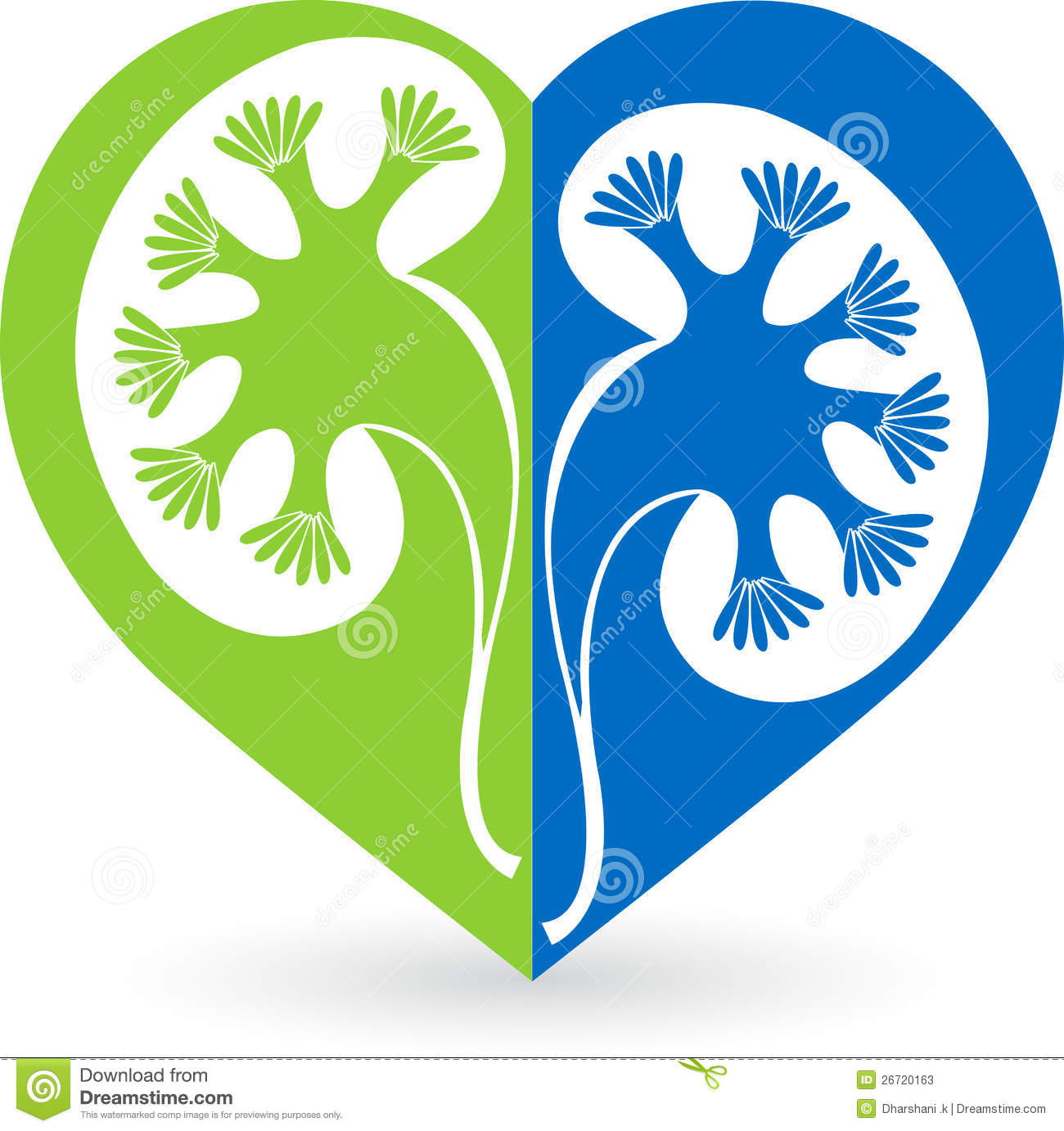Illustration Art Of A Love Shape Kidney Logo With Isolated Background