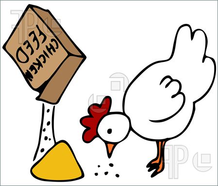 Illustration Of An Image Of A Hen Eating From A Box Of Chicken Feed