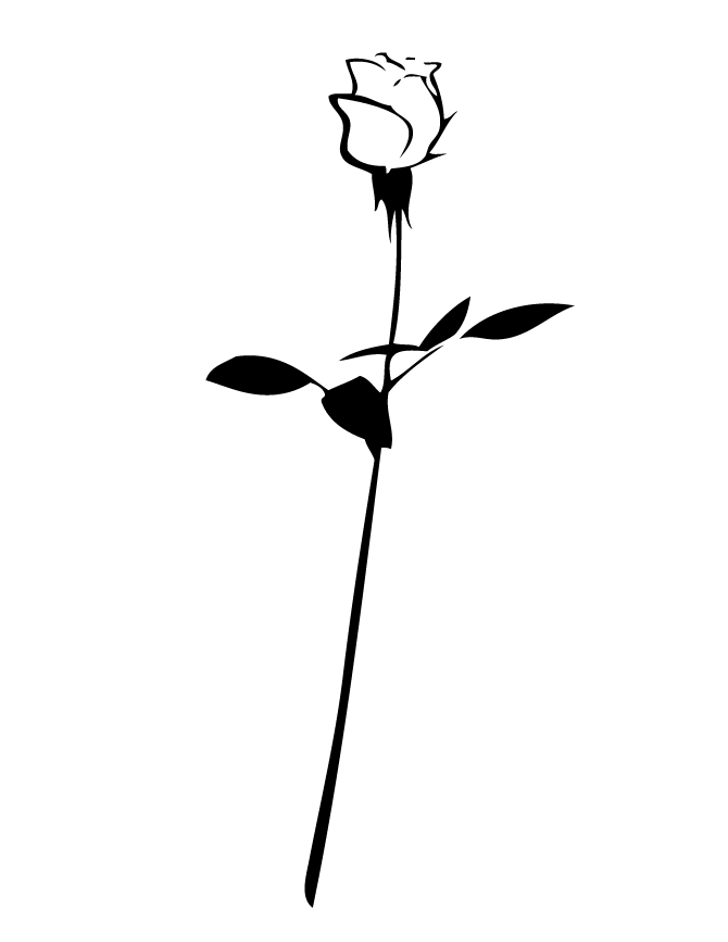 Long Stem Rose Pictures   Free Cliparts That You Can Download To You    