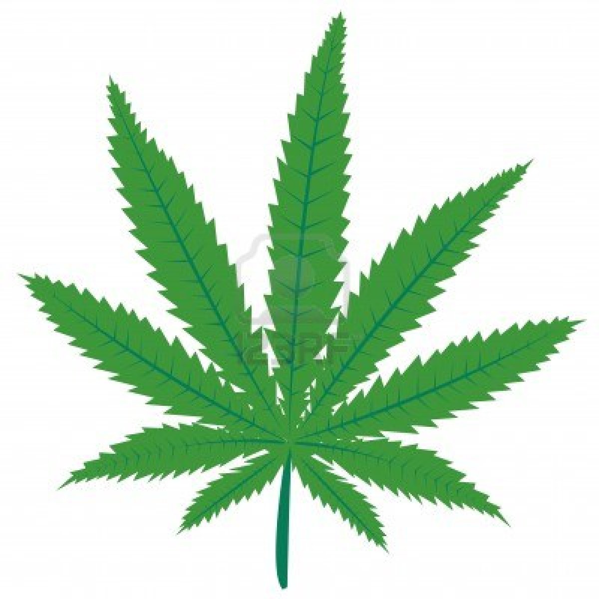 Weed Leaf   Clipart Panda   Free Clipart Images
