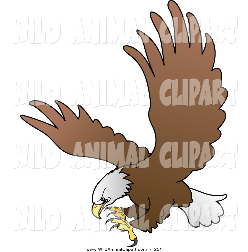 An Eagle In Flight Clipart Picture Pictures