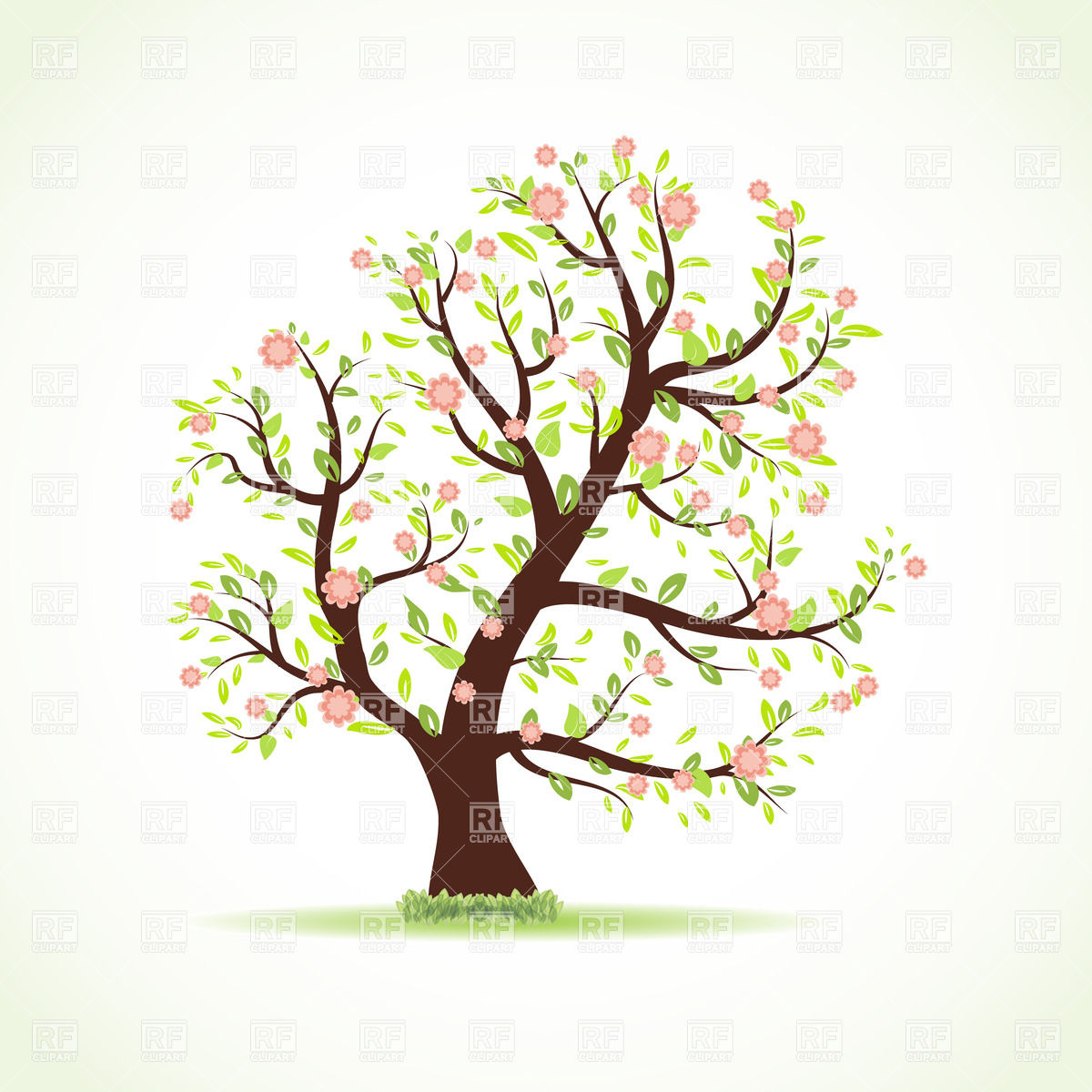Cartoon Spring Tree 23097 Plants And Animals Download Royalty Free