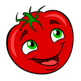 Cartoon Tomato Stock Illustrations Vectors   Clipart    3561