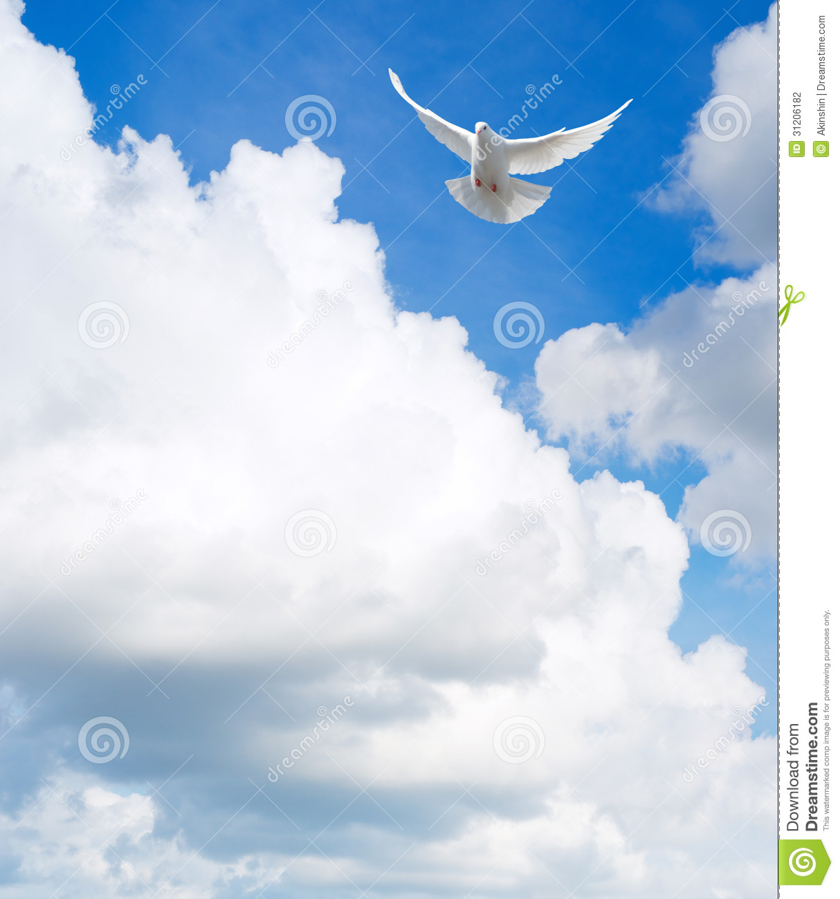 Dove In The Sky Stock Photography   Image  31206182