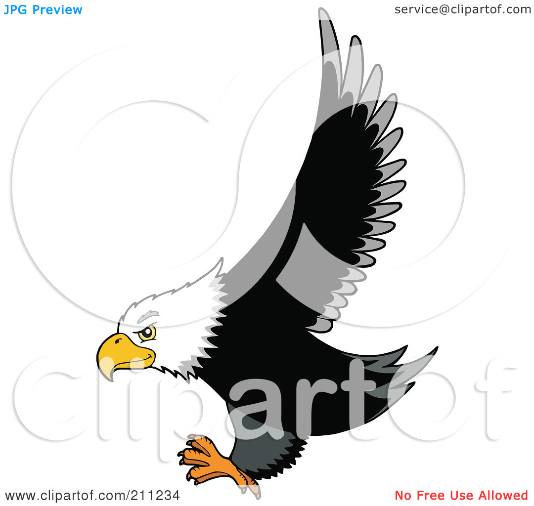 Royalty Free  Rf  Clipart Illustration Of A Bald Eagle In Flight His