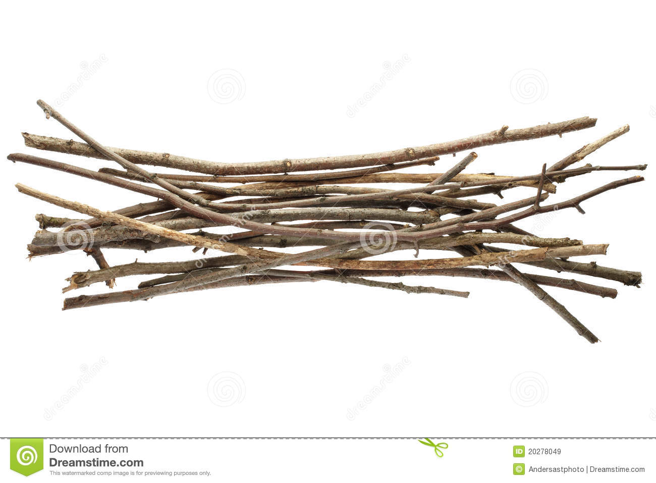 Sticks And Twigs Isolated On White Background Clipping Path Included