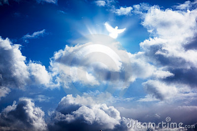 White Dove In Heavenly Sky Stock Photos   Image  18926833