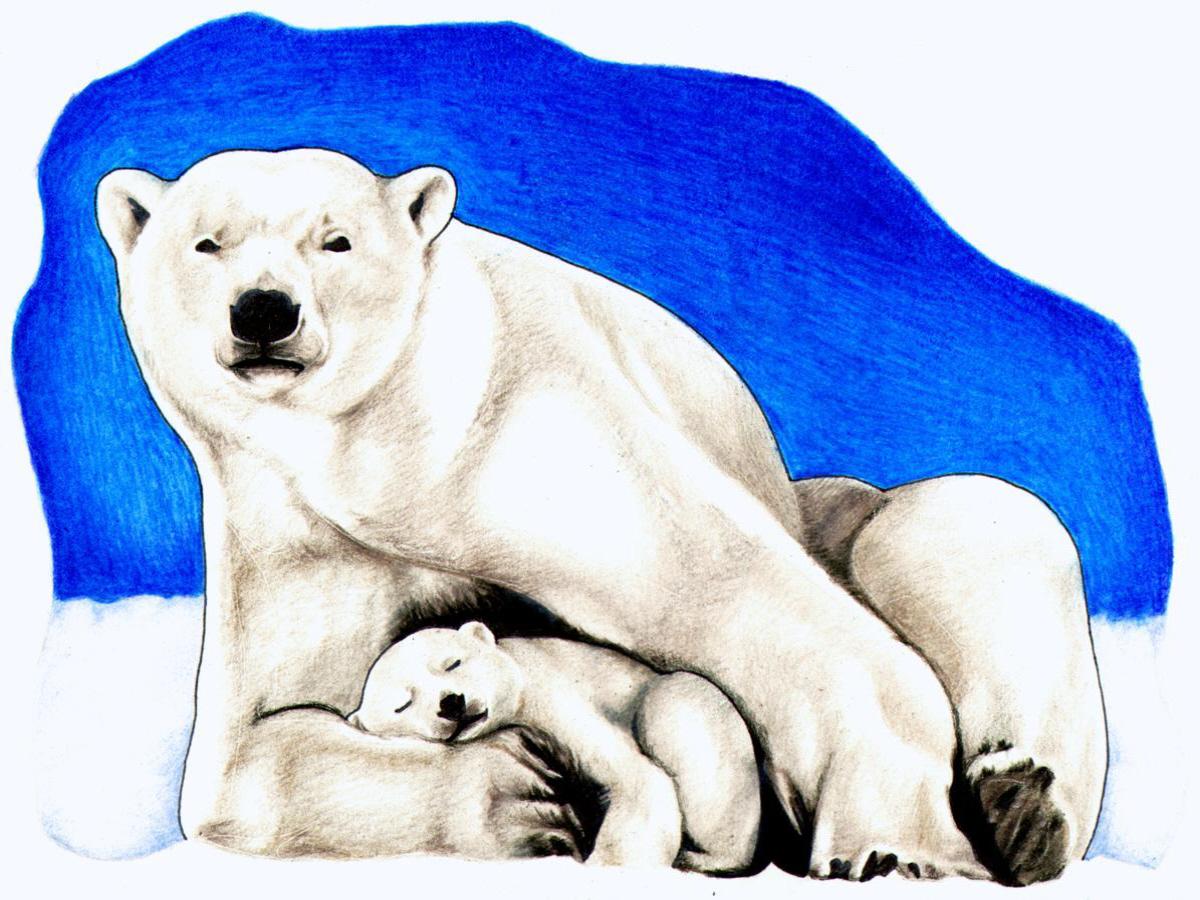 Baby Polar Bear Cartoon Free Cliparts That You Can Download To You