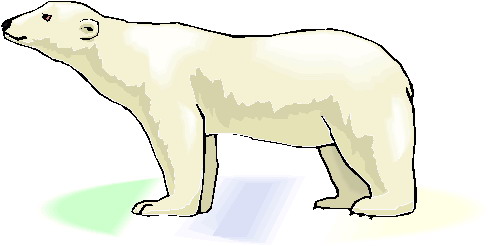 Clip Art Polar Bears