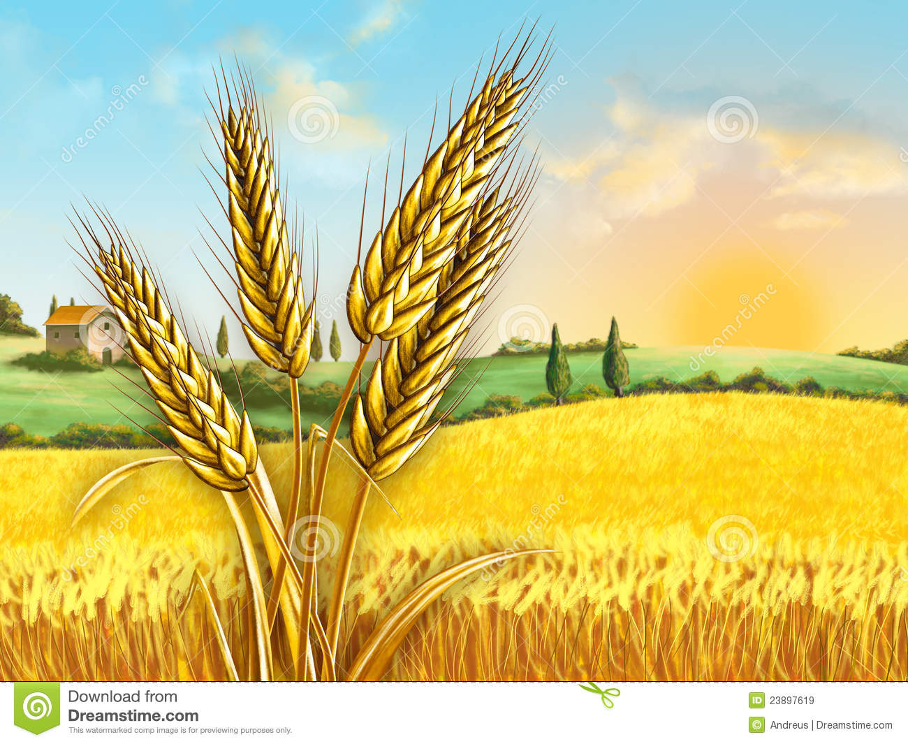 Crop Field Clipart Wheat Field