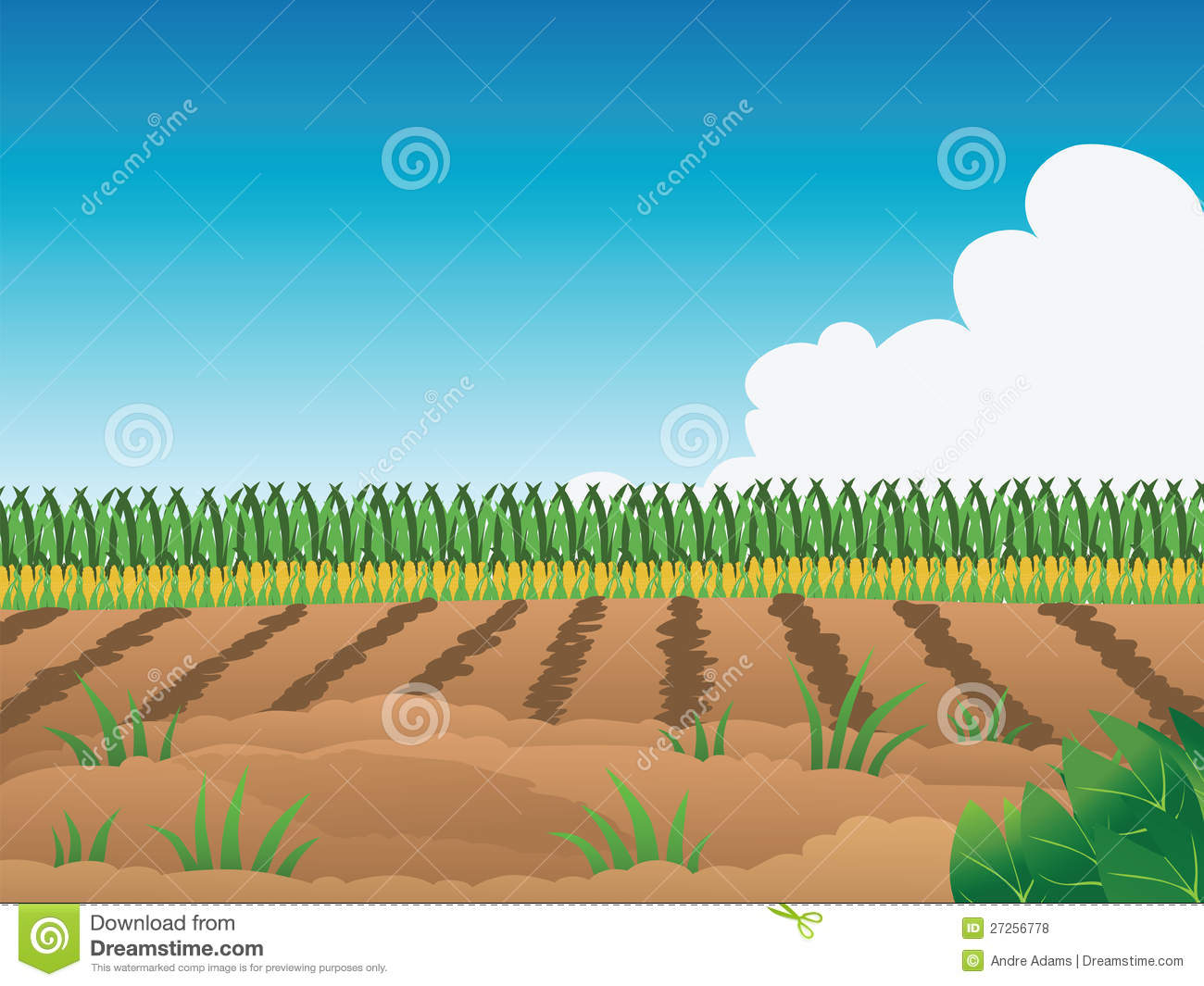 Crop Field Royalty Free Stock Photos   Image  27256778