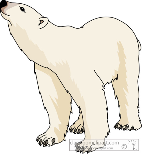 Polar Bear 630 Jpg