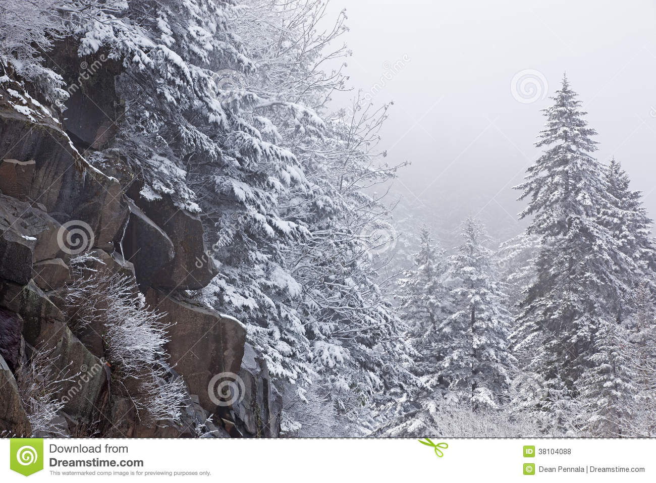 Winter Landscape Of Snow Flocked Trees On Rock Ledge At Clingman S