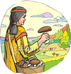 American Woman Gathering Mushrooms   Royalty Free Clipart Picture
