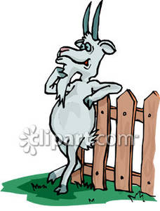 Cartoon Goat Leaning Against A Fence   Royalty Free Clipart Picture
