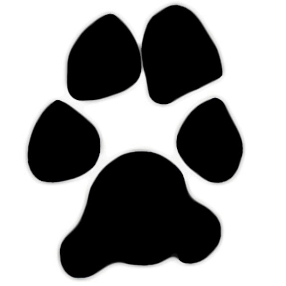 Dog Paw Print Clip Art   Paw Print Graphics For Projects   Dog Paw    