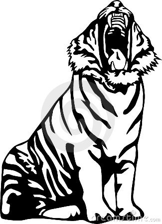 Ferocious Tiger Royalty Free Stock Photos   Image  16005998