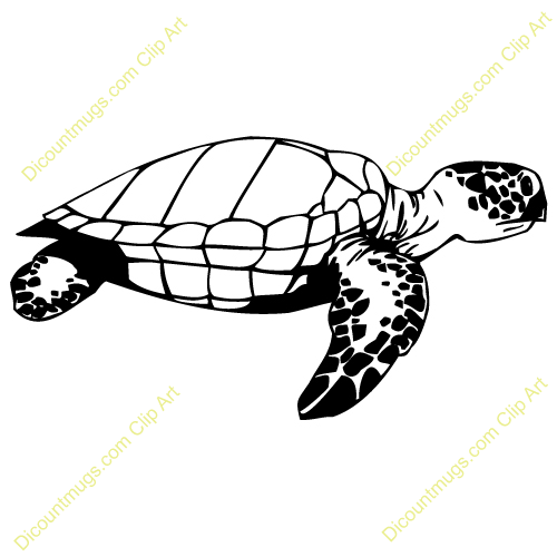 Hawaiian Turtle Clip Art Black And White Baby Turtle Clipart 13238 Jpg
