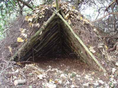 How To Build A Shelter In The Wilderness