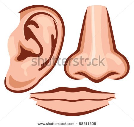 Human Nose Stock Photos Illustrations And Vector Art