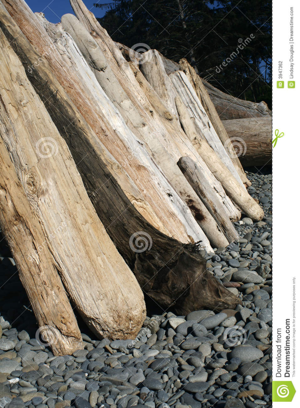 Lean To On Beach Stock Photography   Image  3947362
