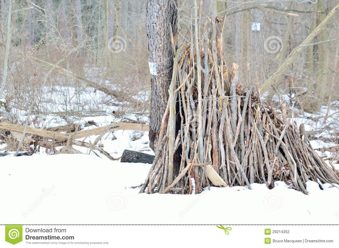Lean To Shelter In The Woods During The Winter Season
