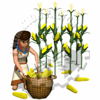 Native American Woman Gathering Maize Animated Clipart
