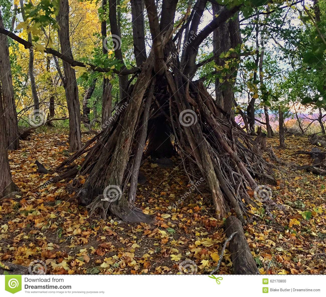 Shelter In The Forest Stock Photo   Image  62170800