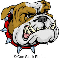 Mean Bulldog Mascot Illustration   Mean Looking Illustration