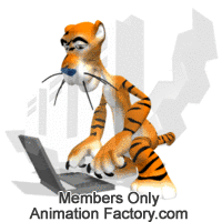 Terry Tiger Typing On Laptop Computer Animated Clipart