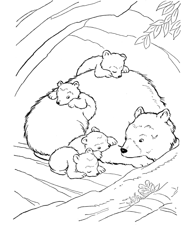 Wild Animal Coloring Pages For Kids