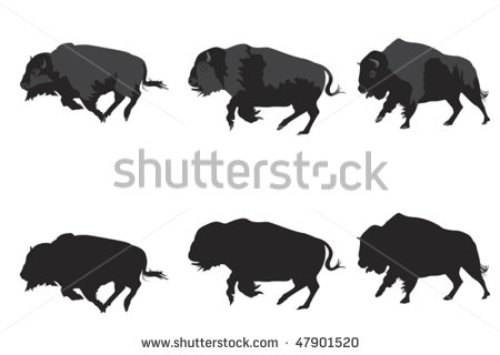 Bison Running Drawing American Bison Galloping