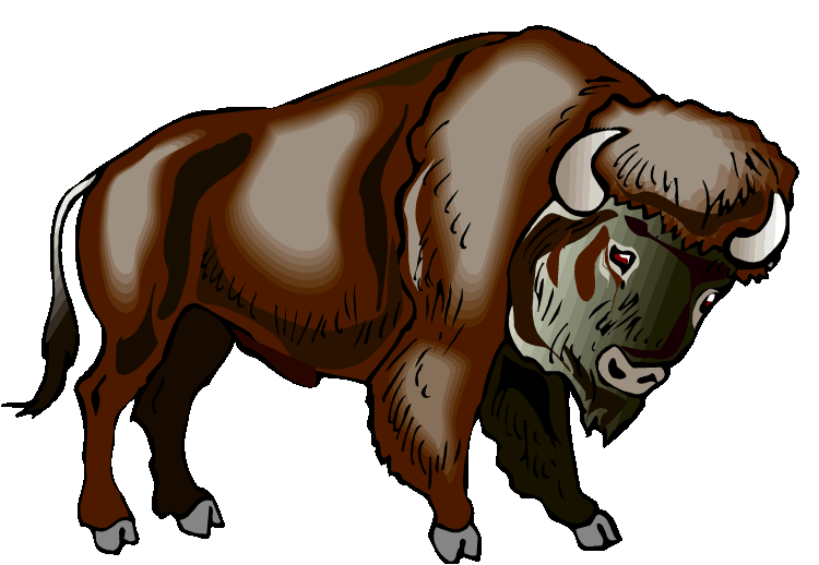 Buffalo And Bison Clipart