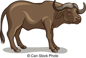 Buffalo   Vector Illustration Of A Buffalo Isolated On A