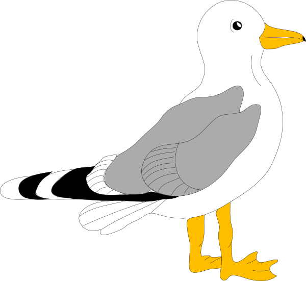Cartoon Seagull Clip Art At Clker Com   Vector Clip Art Online    